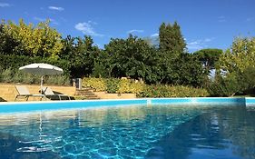 La Cantina Del Podere Dei Boni